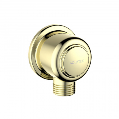 Шланговое подключение AQUATEK AQ2461PG