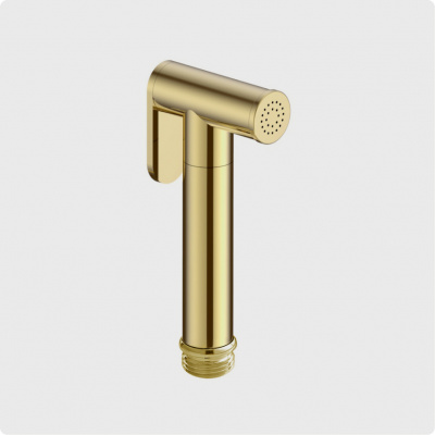 Гигиеническая лейка AQUAme (AQM8511GG), золото
