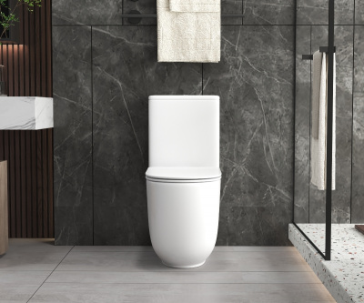 Унитаз напольный безободковый AQUAme (AQM1008PRO), 62.5x35.5x41 см белый